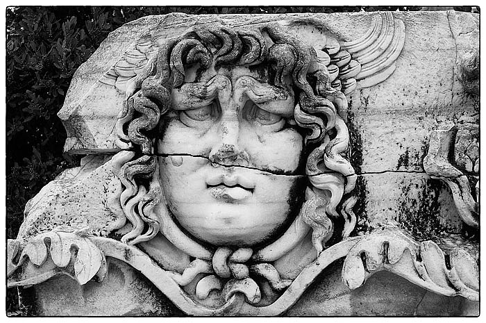 Medusa_DSC9006 Kopie