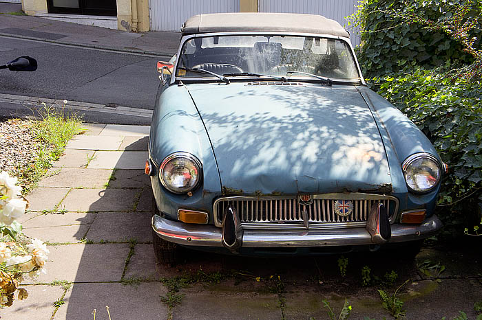 schicker MG_DSC9330 Kopie