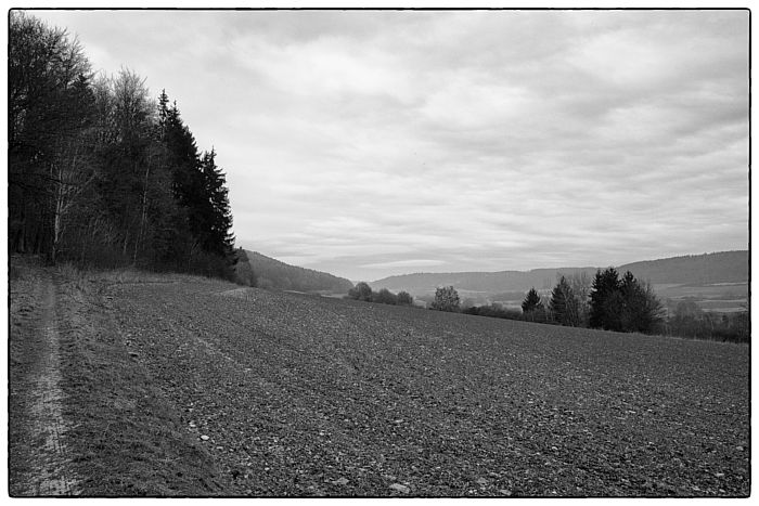 Voralpenlandschaft bei Greding Tittling, Januar 2008_MG_0346