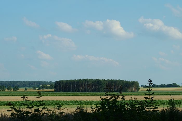 feld und wald_DSC9016