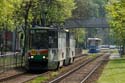 Trams 2318 und_DSC6970_DxO