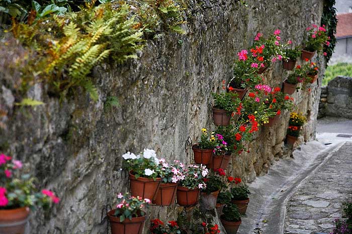 gassestemilion