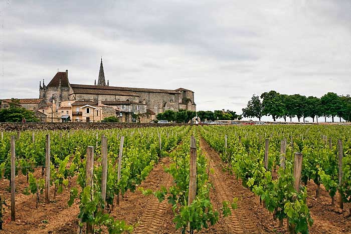 stemilion1569