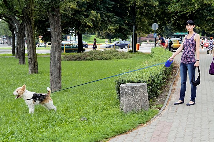 goldiger hund und frauchen ist auch nett_DSC7887_DxO