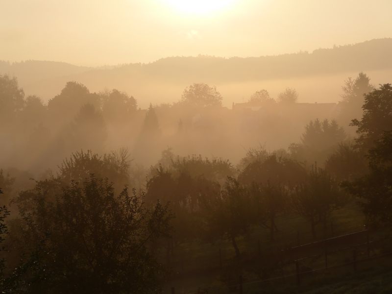 morgendaemmerungP1040001