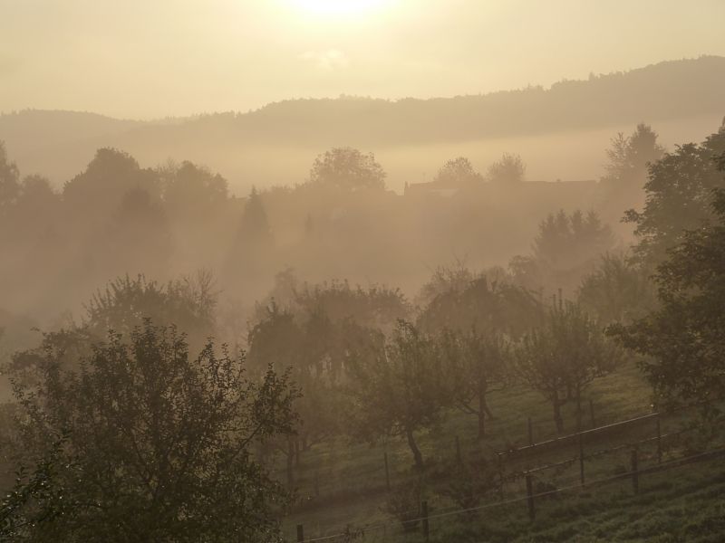 morgendaemmerunginfraenkischcrumbachP1030999