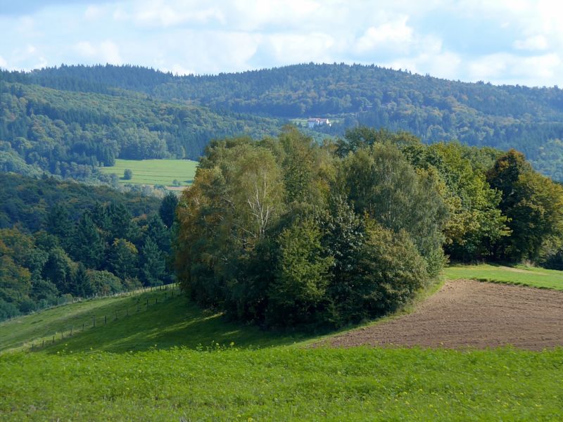 odenwaldP1030953