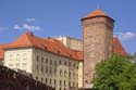 Wawel_DSC8109_v1(0002)