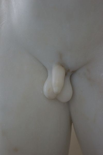 Formschöner Penis, Pałac w Wilanowie