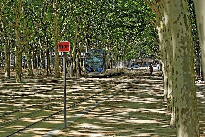 tramplacedequinconces