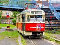 _5171120_DxO-1_Radiant