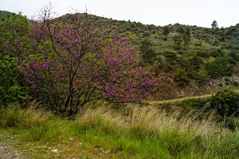 fRUEHLINGSLANDSCHAFT_DSC4798_DxO