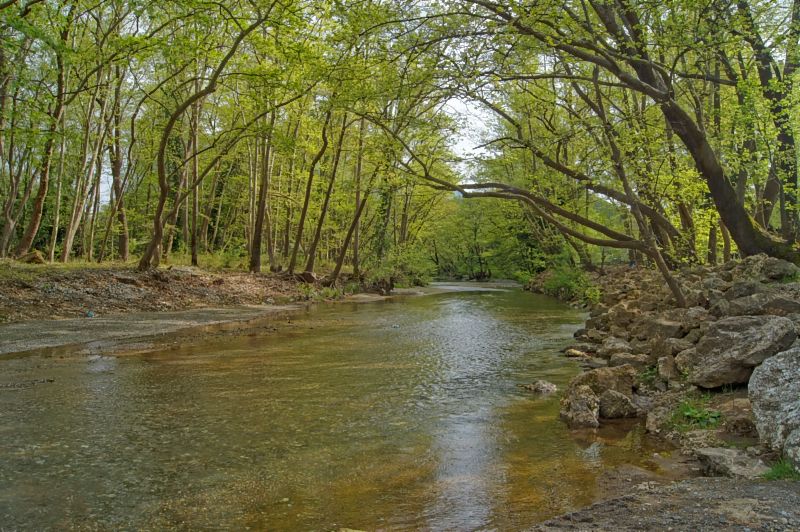 flusslaufaufeuboea