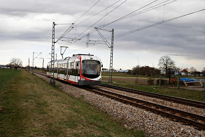 Tram-bei-Ladenburg