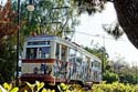 laterne tram baum_DSC6296