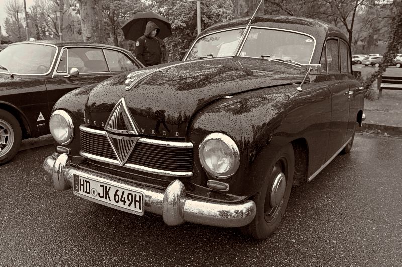 Hansa