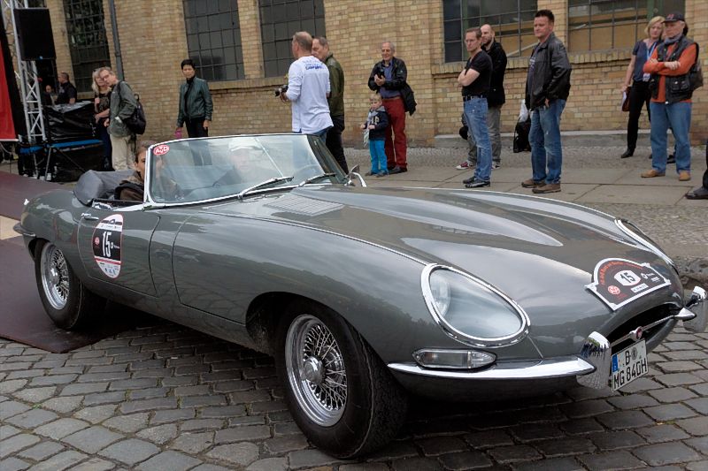 jaguar_DSC8016