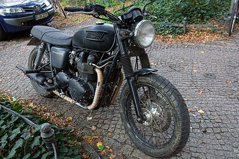 triumph_DSC3901