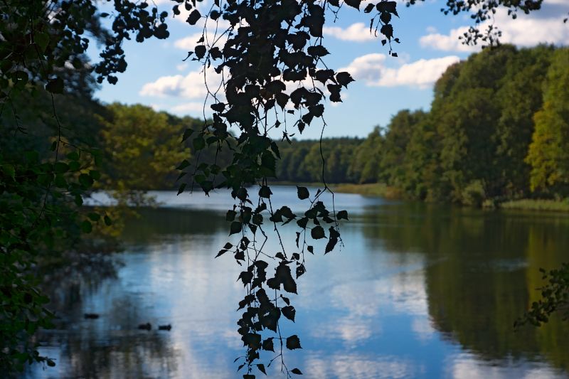 krumme lanke_DSC5234