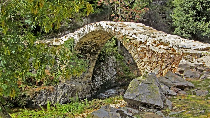 brueckeIMG_0691