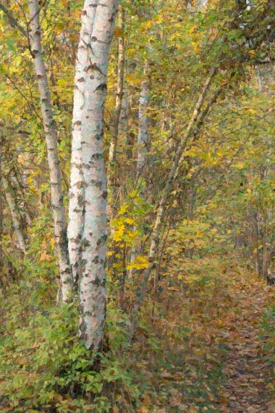 _DSC5818