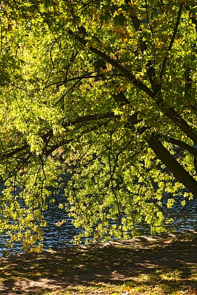 spreekanalufer_DSC5337(0001)