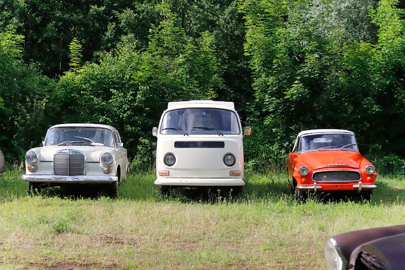 Benz, VW-Bus, Škoda