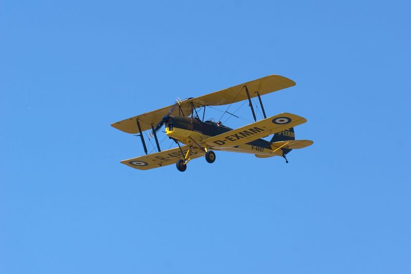 Tiger Moth