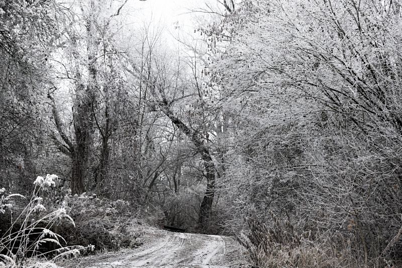 Weg, Winter