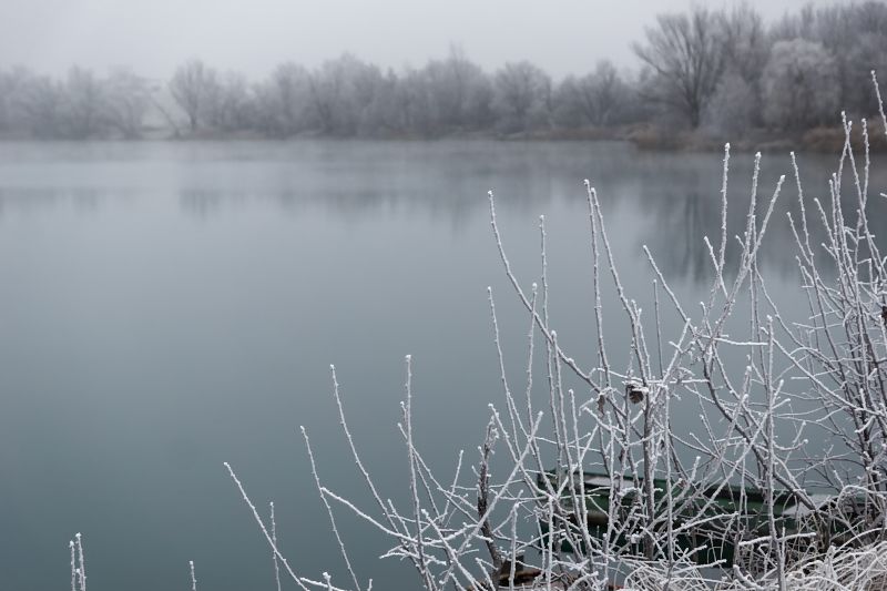 Winterlicher See