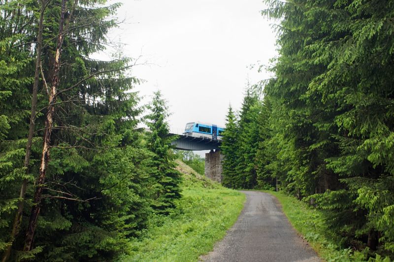 Zug auf der Bruecke