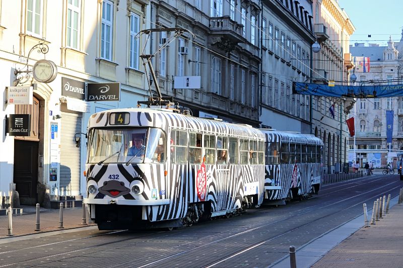 Tram 432 im ZebralookIMG_1829