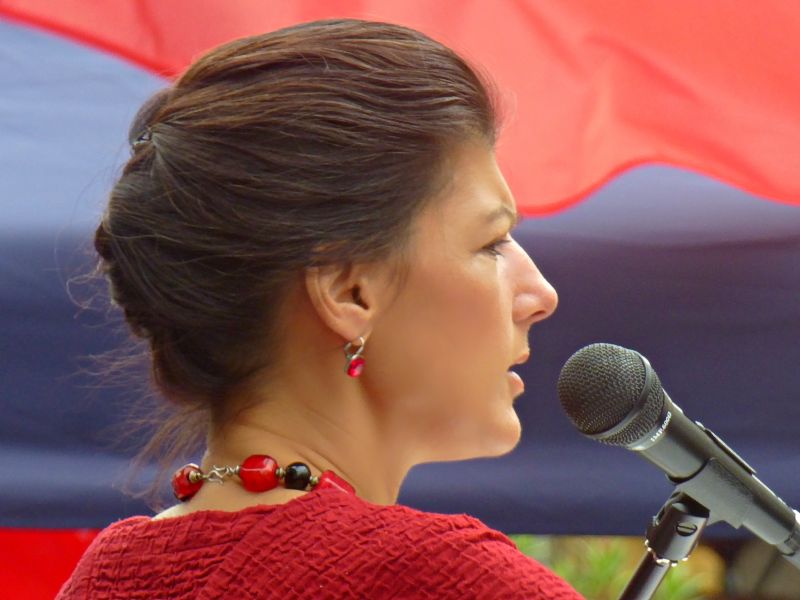 Danny Kurpfalz: Sahra Wagenknecht # 452