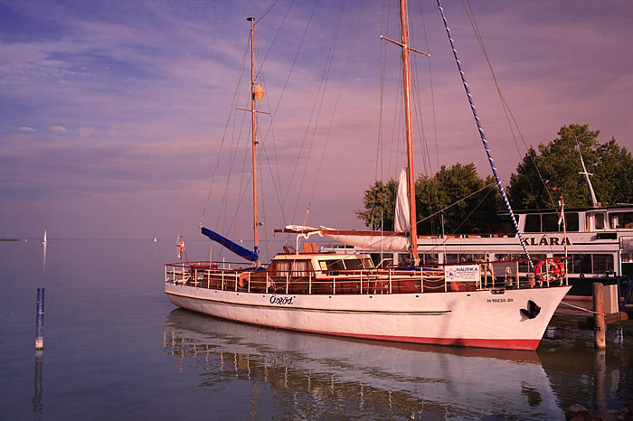 oeszoed