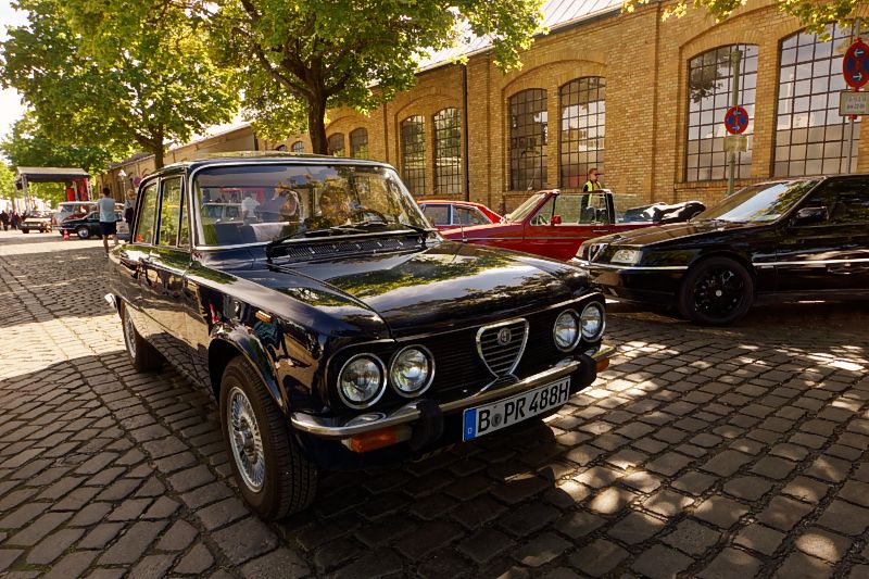 _DSC0954Alfa