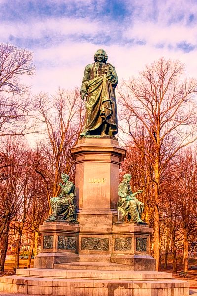 Linné