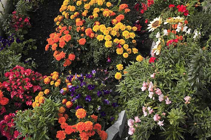 garten5336