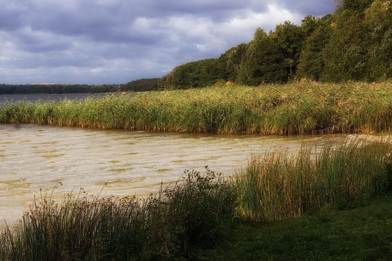 Am Motzener See