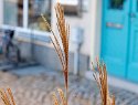_B300125_DxO_Radiant