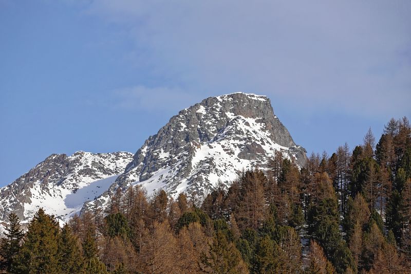 Wald vor Fels vor Himmel, Ischgl - Samnaun