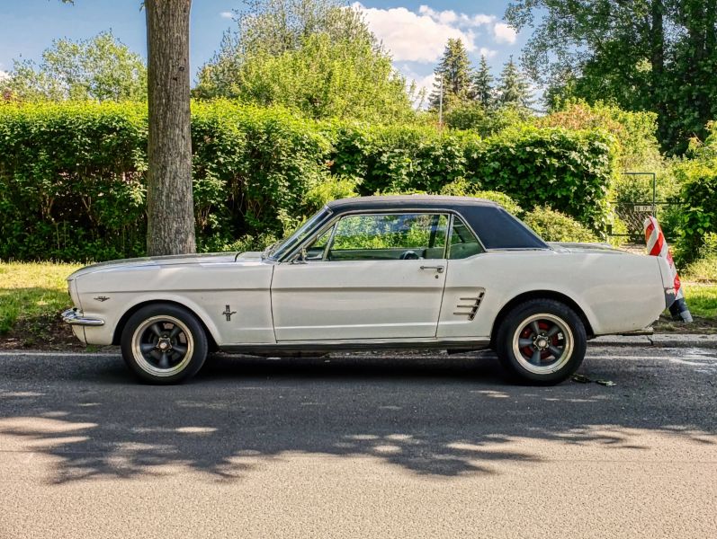 Mustang