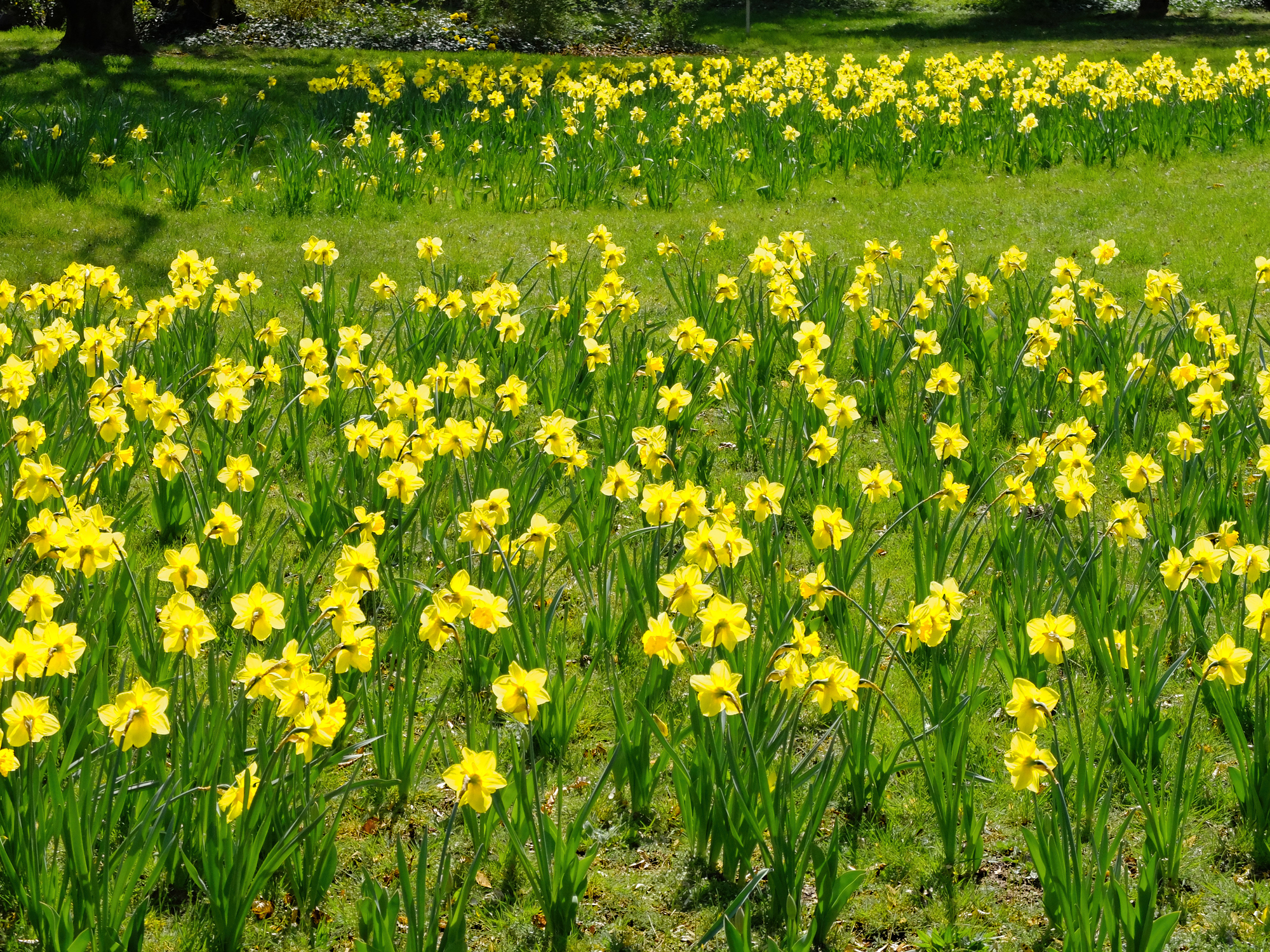 DSCF3054-ExposureA