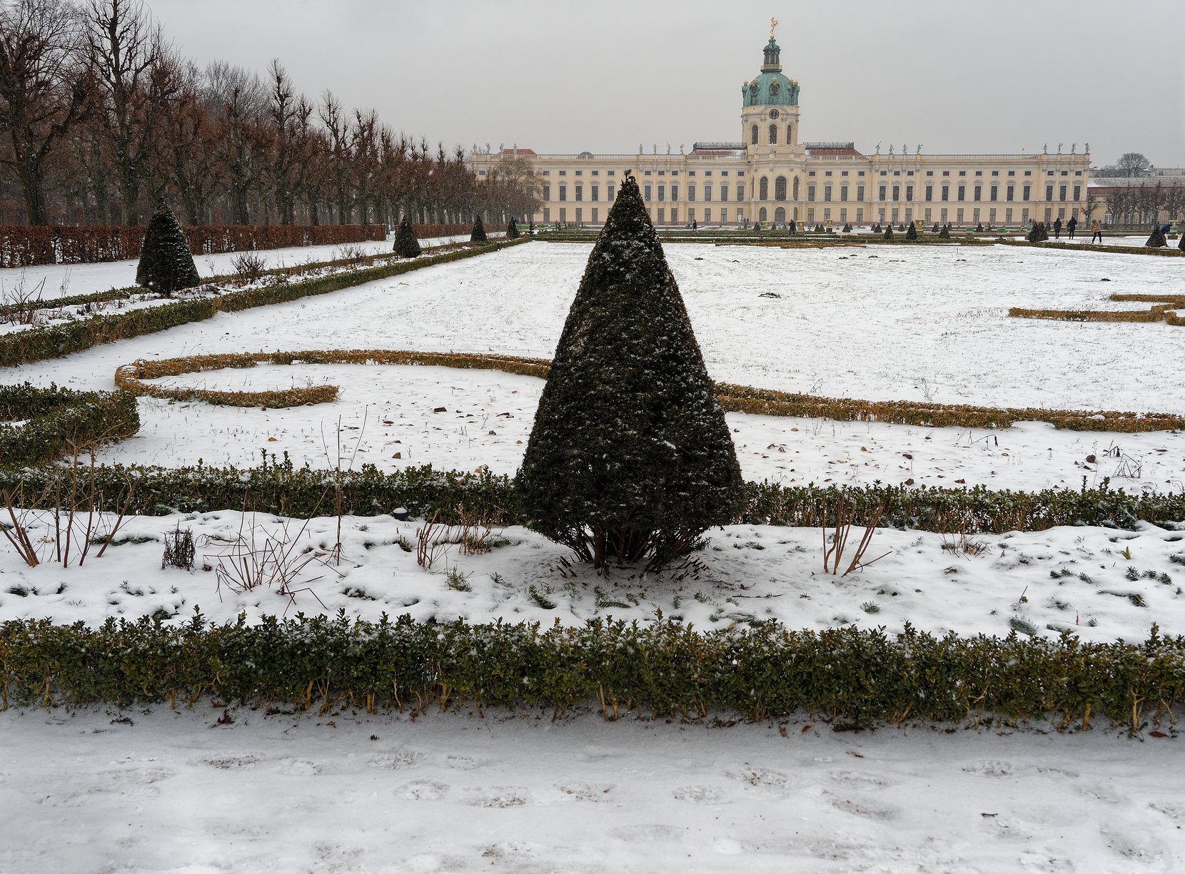 Nadelbaum