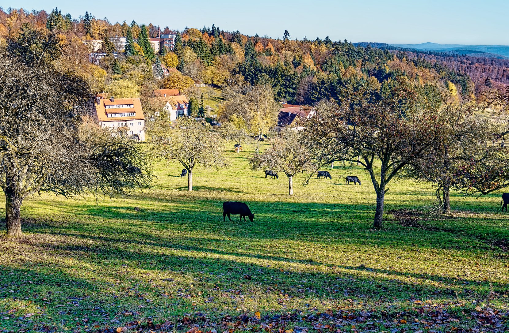 Königstuhl Idylle