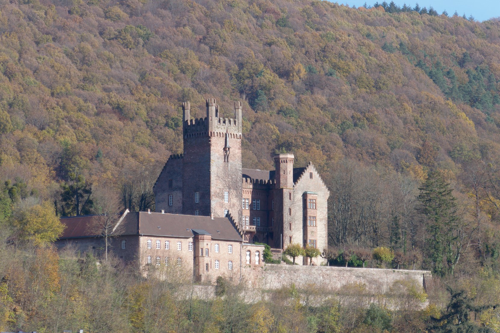 Schloß in Neckarsteinach
