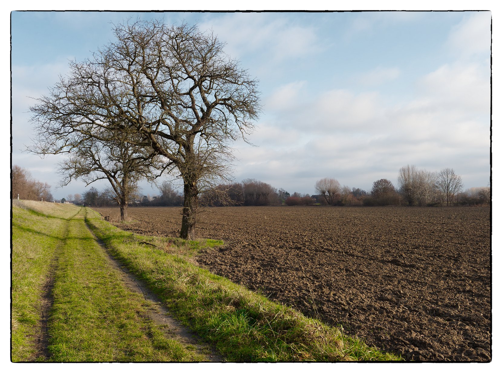 Am Rheindamm
