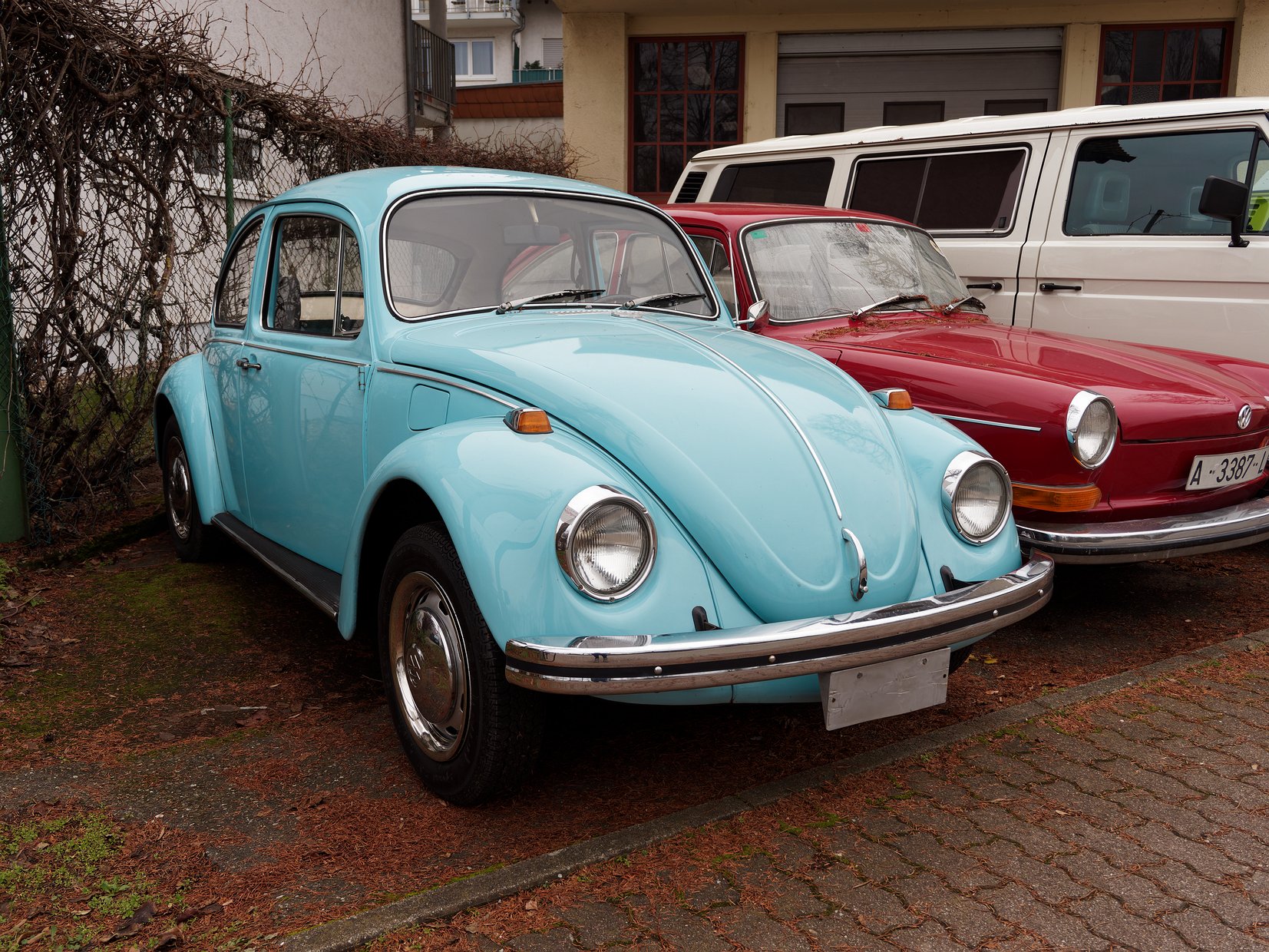 Bezaubernder hellblauer Käfer