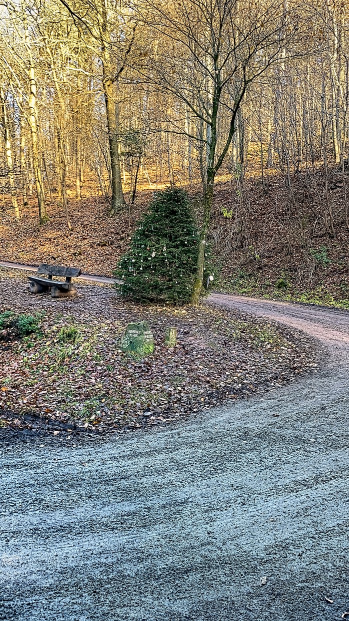 Ernst Zürn: Weihnachtsbaum im Wald