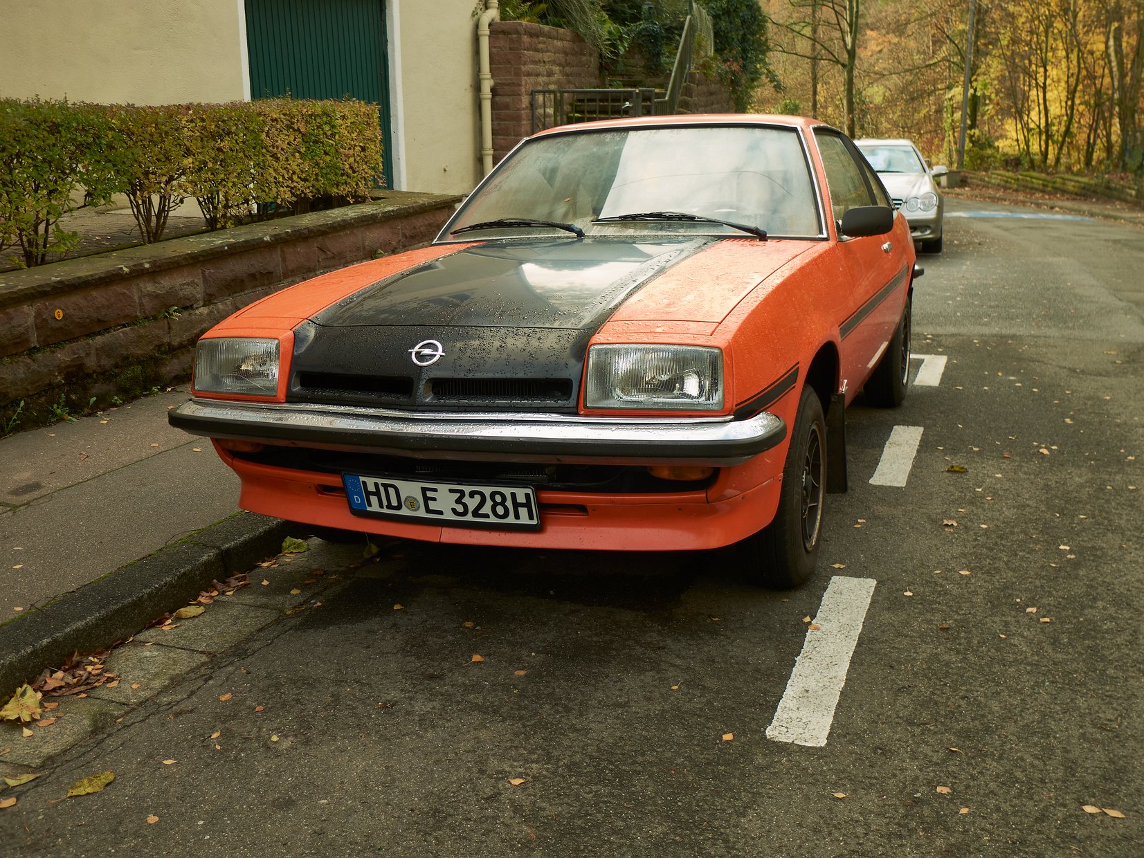 Manta #4992