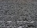 _1020036_DxO.jpg